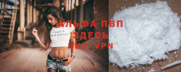 шишки Алзамай