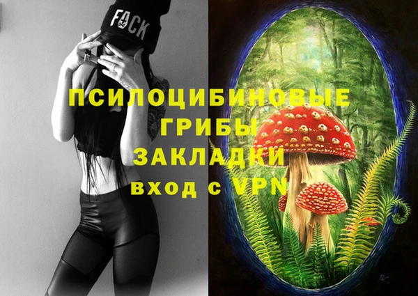 гидропоника Нея