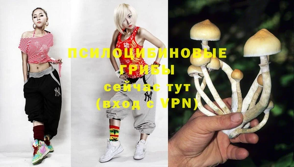 2c-b Нефтекумск