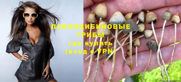 гидропоника Алексеевка