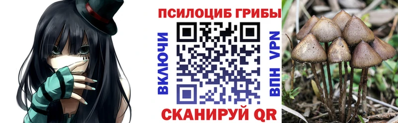 Галлюциногенные грибы мицелий  Советский 